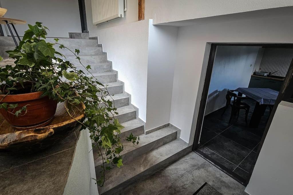 Chalet Dor De Munte Predeal Εξωτερικό φωτογραφία