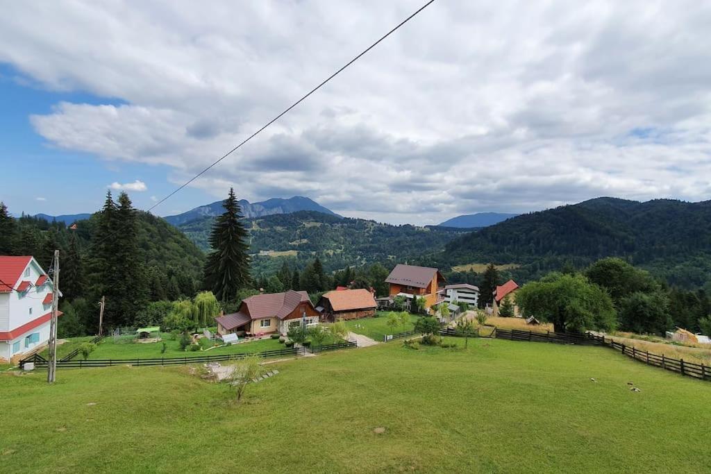 Chalet Dor De Munte Predeal Εξωτερικό φωτογραφία